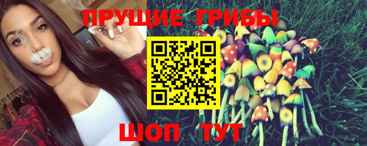 Галлюциногенные грибы Magic Shrooms Богородицк