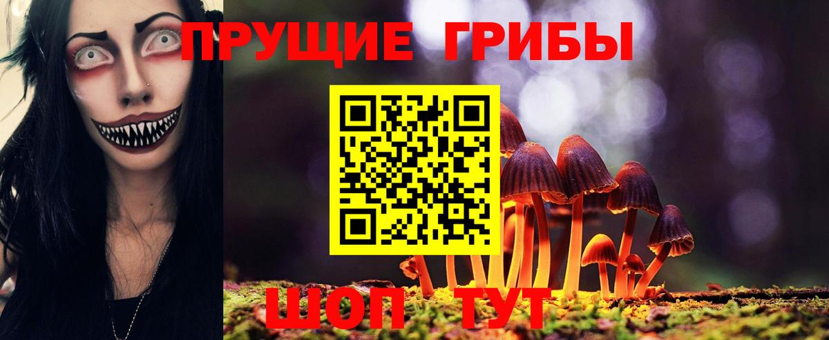 Псилоцибиновые грибы Psilocybine cubensis  Вход с VPN  наркотики  Богородицк 